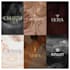 create a custom versatile professional logo design
