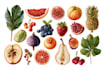 do a botanical illustration
