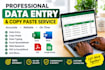 do accurate data entry, copy paste, and excel data entry
