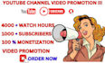 do organic youtube channel promotion,video grow monetize,short SEO subscription