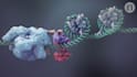 create 3d medical oncology pharmaceutical moa animation