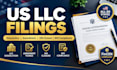 dissolve amend register your US llc and file boi report