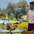design a wine pairing for you