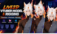 create high quality live2d vtuber model and rigging for vtube studio