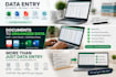 do excel data entry, data cleaning and formatting
