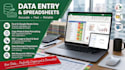 do accurate data entry and excel data formatting