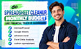 do spreadsheet cleanup, monthly budget and financial tracker dashboard