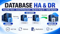 optimize, troubleshoot and manage sql server, postgresql, mysql or oracle dbs