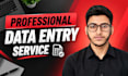 be you virtual asistant for data cleaning, data entry, and copy paste