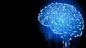 develop deep learning models using tensorflow and pytorch