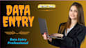 do enter data on excel professionally