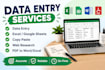 do data entry, excel, web research, copy typing