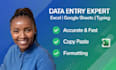 do accurate data entry excel copy paste typing