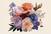 draw detailed botanical and floral illustrations