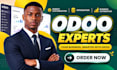 do odoo module development, odoo website design, customization and integration