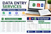 do data entry, excel, PDF conversion and web research