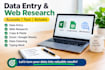 do accurate data enty and web research