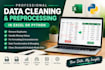 do professional data cleaning and preprocessing in excel or python