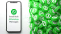 whatsapp bulk message,text message, bulk email blast,send blast whatsapp contact