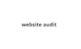 do shopify website audit