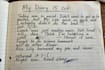 write aesthetic diary notes in english and urdu