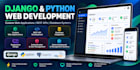develop a professional django python web application