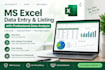 do professional ms excel data entry data analysis