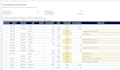 clean one CSV and flag data issues