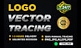 recreate logo in vector, vectorize my lo go and convert image to vector fast
