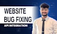 fix website bugs and errors or integrate apis