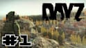 setup, configure and optimize your dayz game server