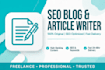 write SEO blog posts and article