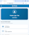 develop a professional flutter mobile app