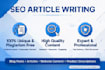 write SEO optimized article and high quality blog post