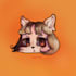 draw chibi  furry avatar