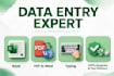 do data entry excel data entry typing work and PDF to word conversion
