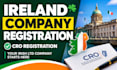do ireland company registration and handle the cro registration process