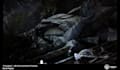 build unreal engine 5 game environment, level design and UI
