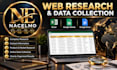 do web research, data collection and different kinds of research