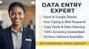 expert excel data entry