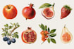illustrate best botanical illustration