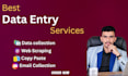 do accurate data entry, data collection web scraping excel data cleaning