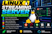 troubleshoot and optimize your linux streaming server
