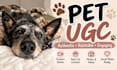 create relatable pet ugc content for your product