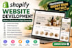 design shopify store development