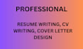 write professional resume or cv for you