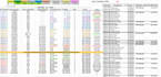 create a professional excel budget template