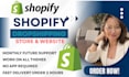 build shopify store design, redesign shopify website, and custom shopify store