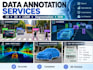provide professional image and 3d data annotation services