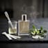 formulate long lasting perfume and fragrance